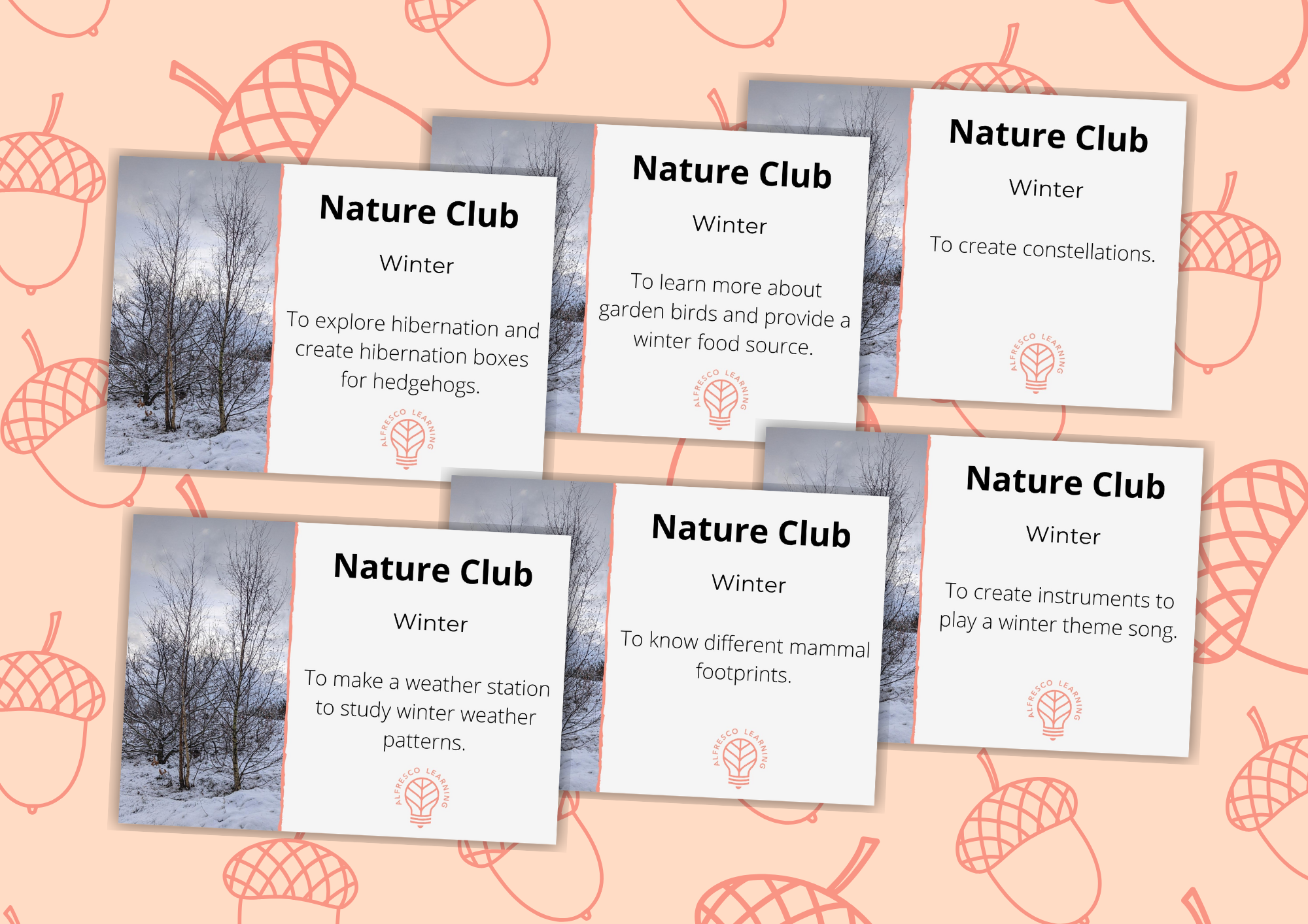 Winter nature club lesson plans times six