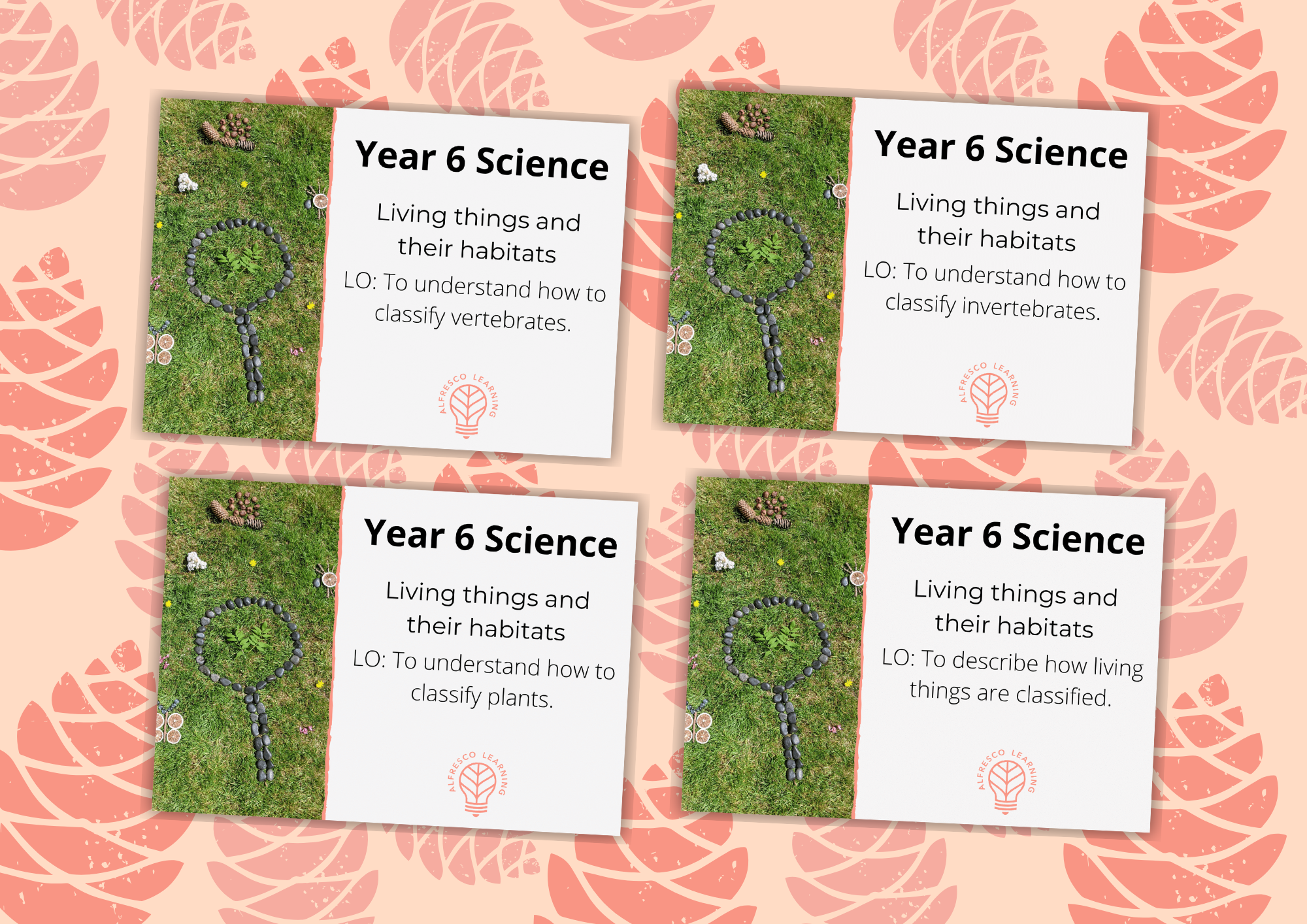 4 outdoor lesson plans for living things in year 6