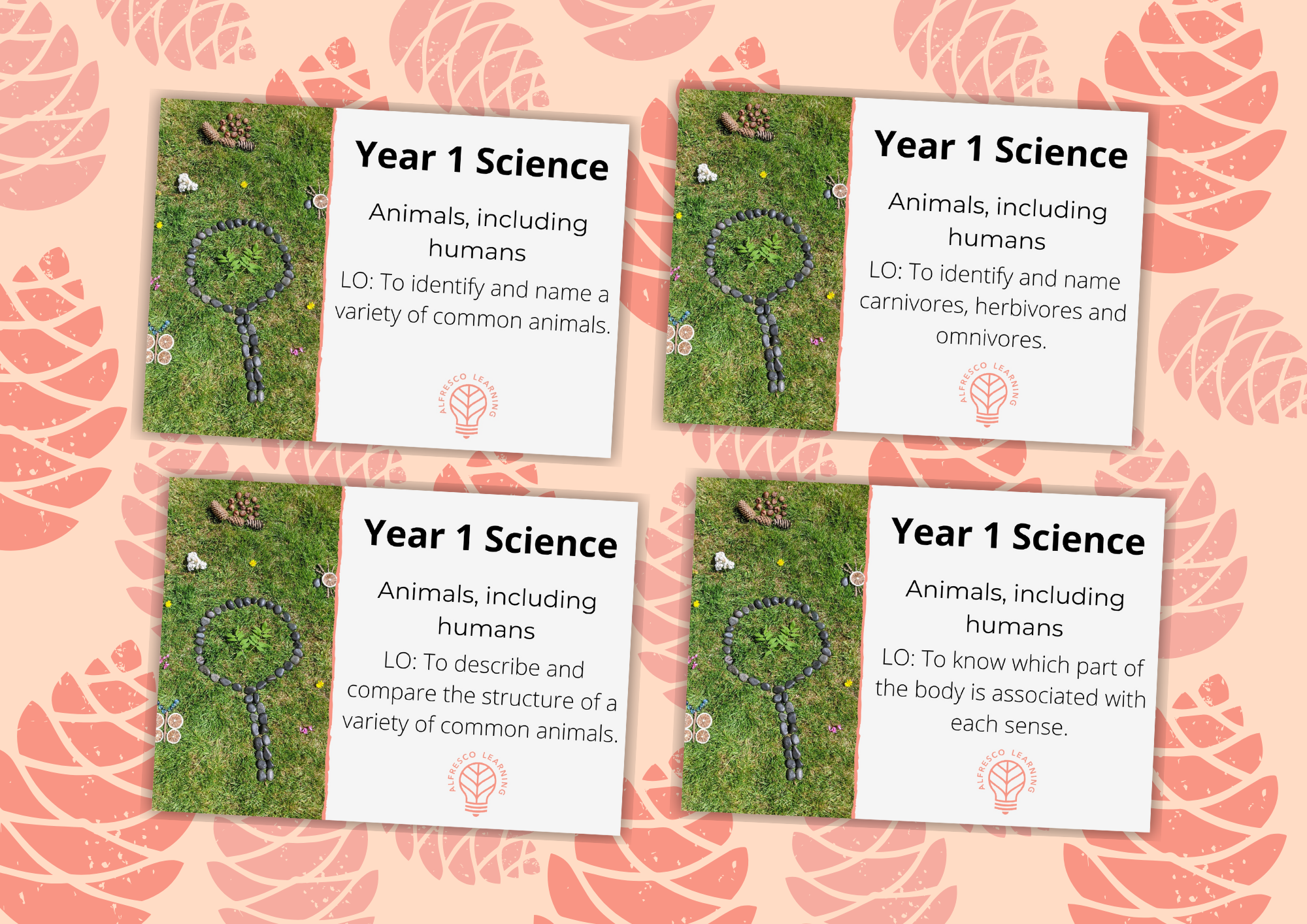 Four front covers for Y1 outdoor science lessons on the topic, Animals including Humans