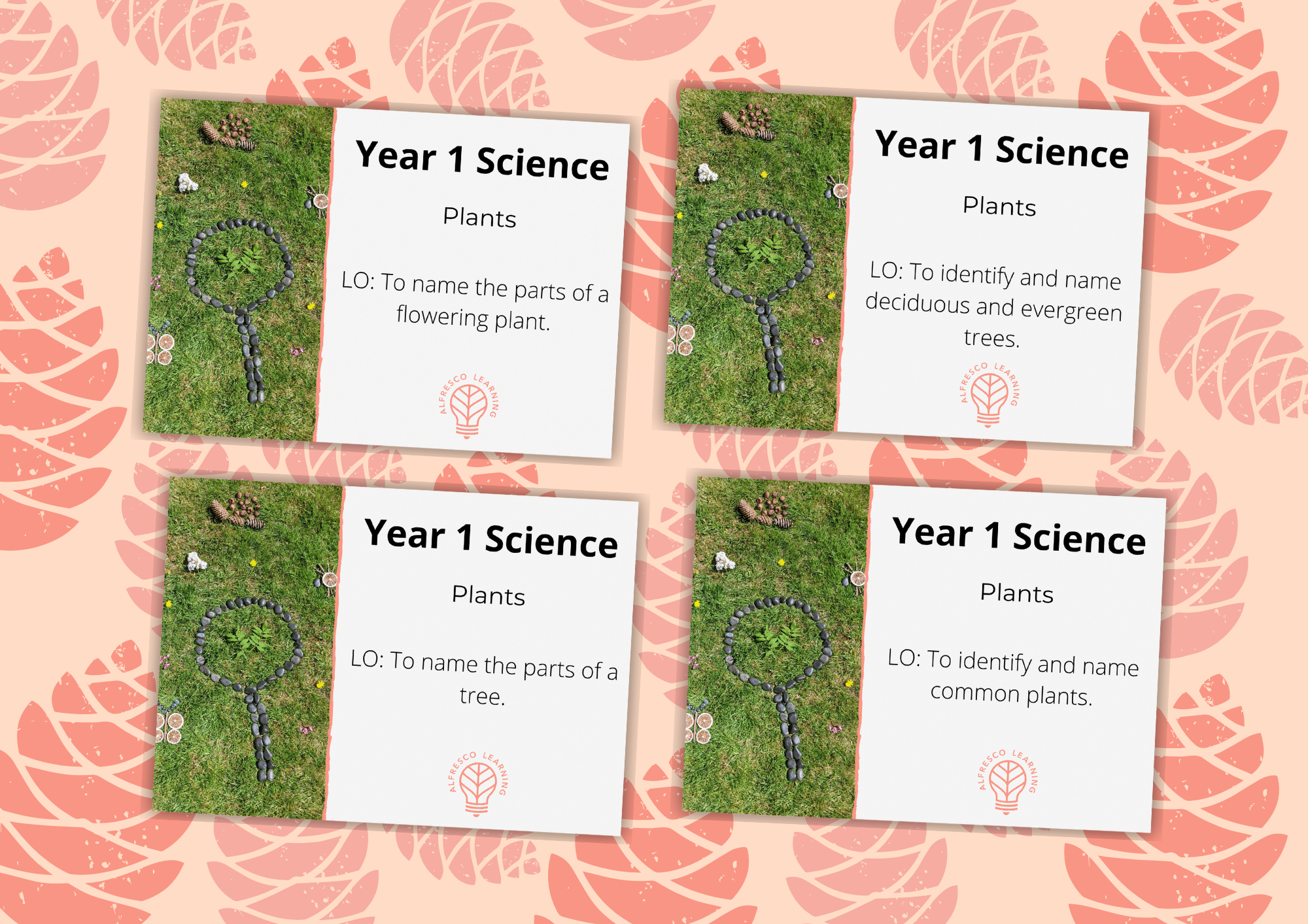 4 outdoor lesson plans for teaching the curriculum on plants to Year 1