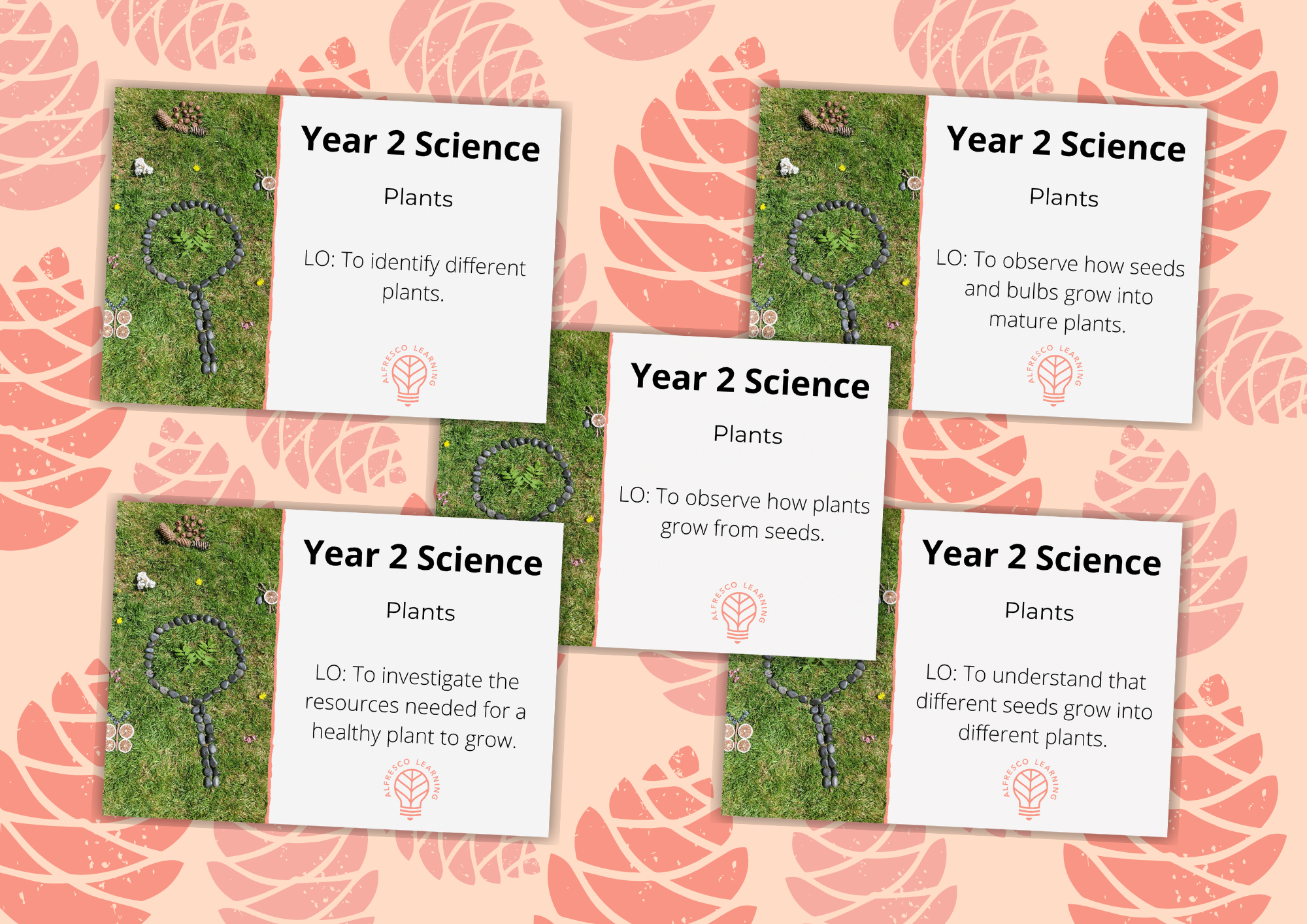 5 outdoor lesson plans for teaching plants to year 2
