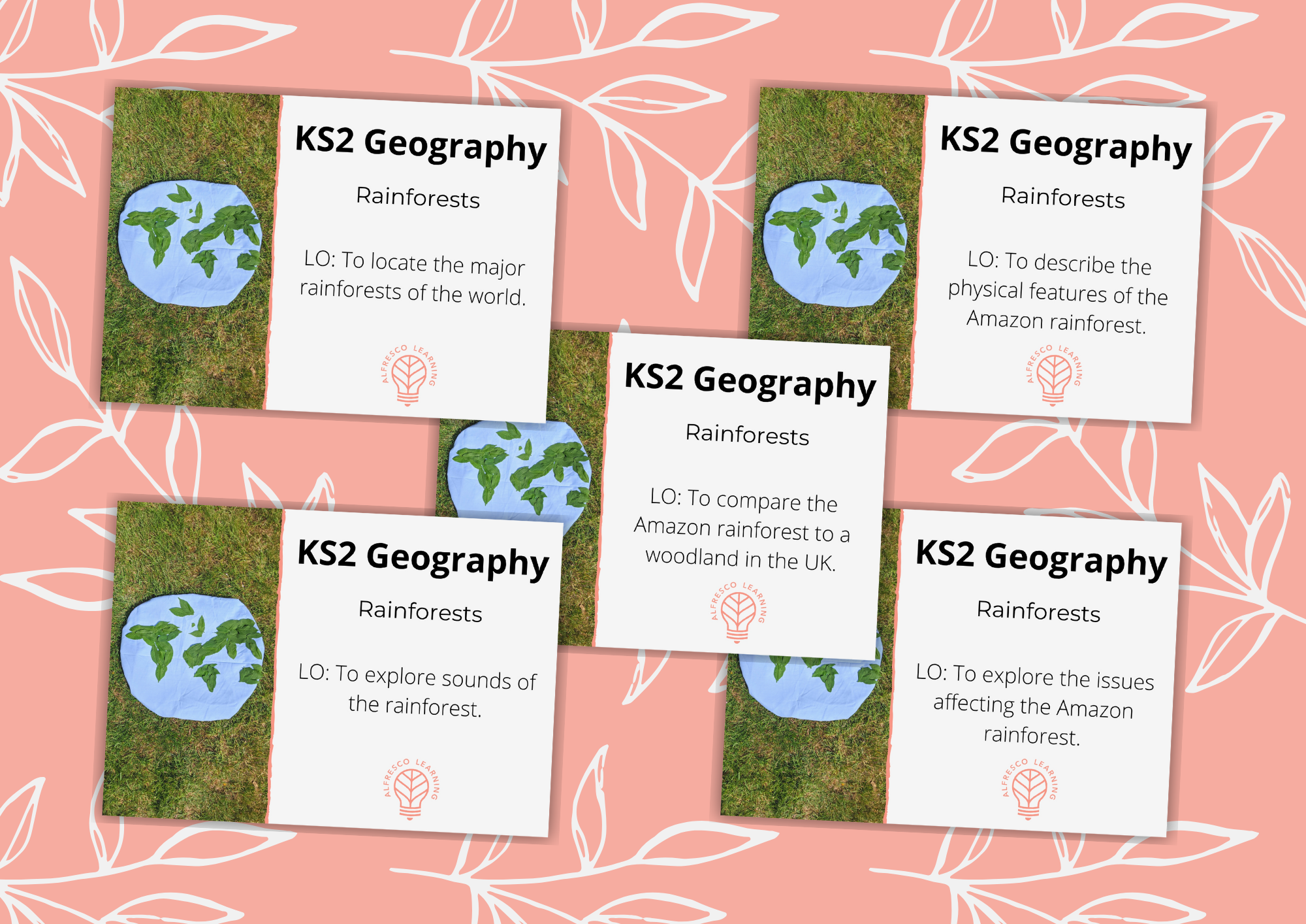 5 outdoor lesson plans for KS2 Rainforest