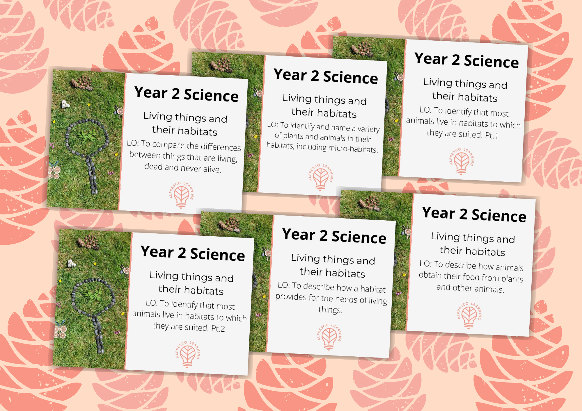 6 outdoor lesson plans for Year 2 science topic - living things