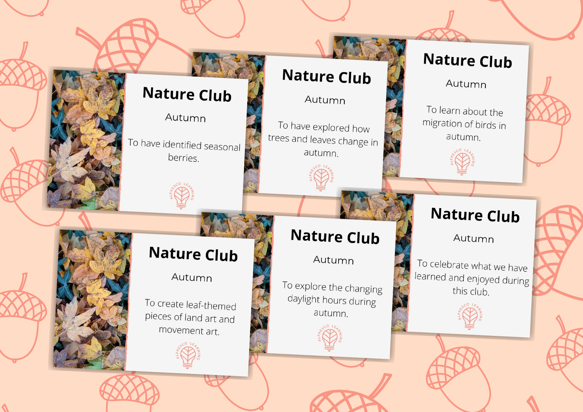 An outdoor after-school club to run an autumn nature club