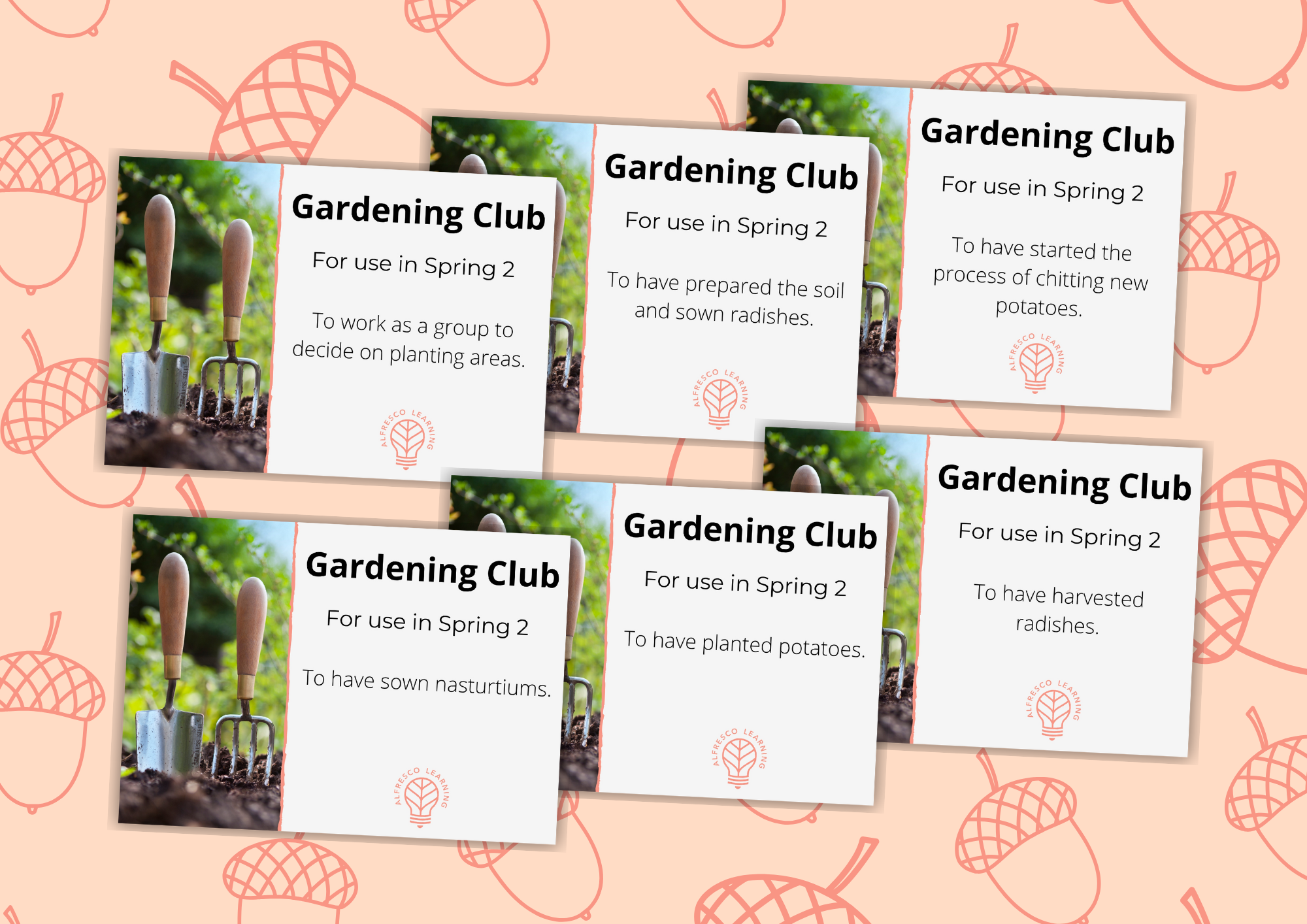 6 outdoor after school club plans to deliver gardening activities to primary children
