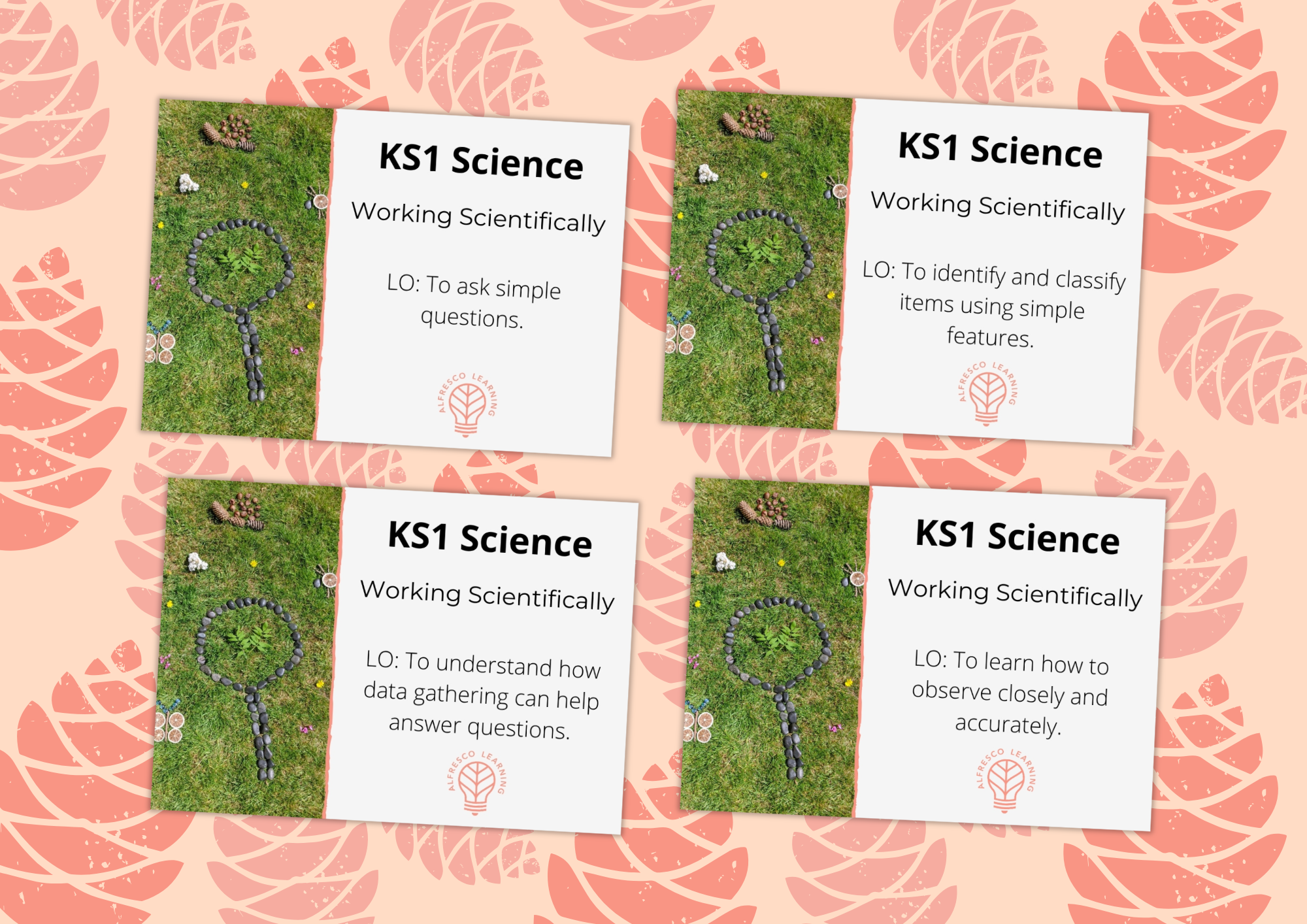 Lesson plans for teaching KS1 working scientifically outdoors
