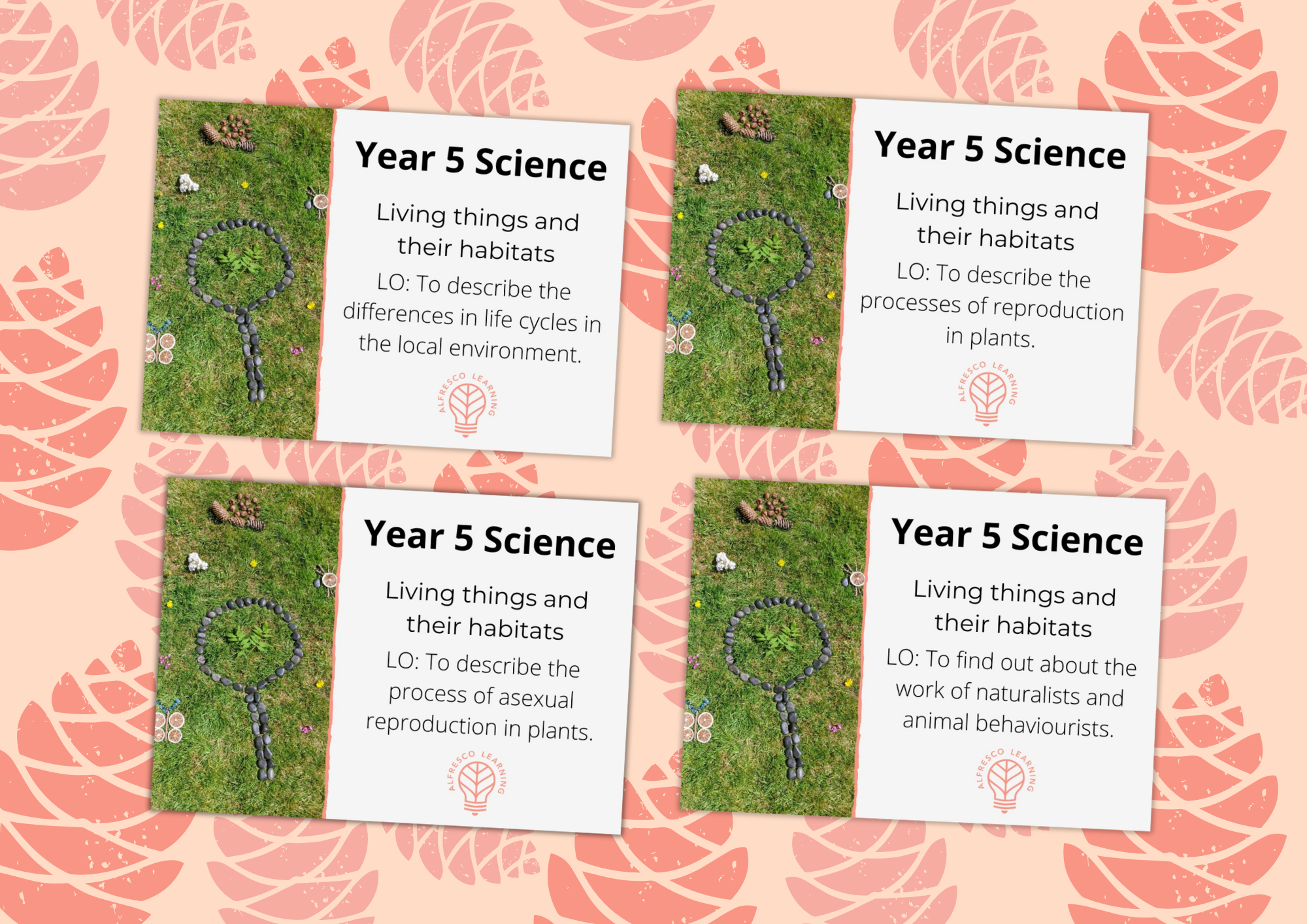 4 Outdoor lesson plans for teaching Year 5 Science living things and their habitats