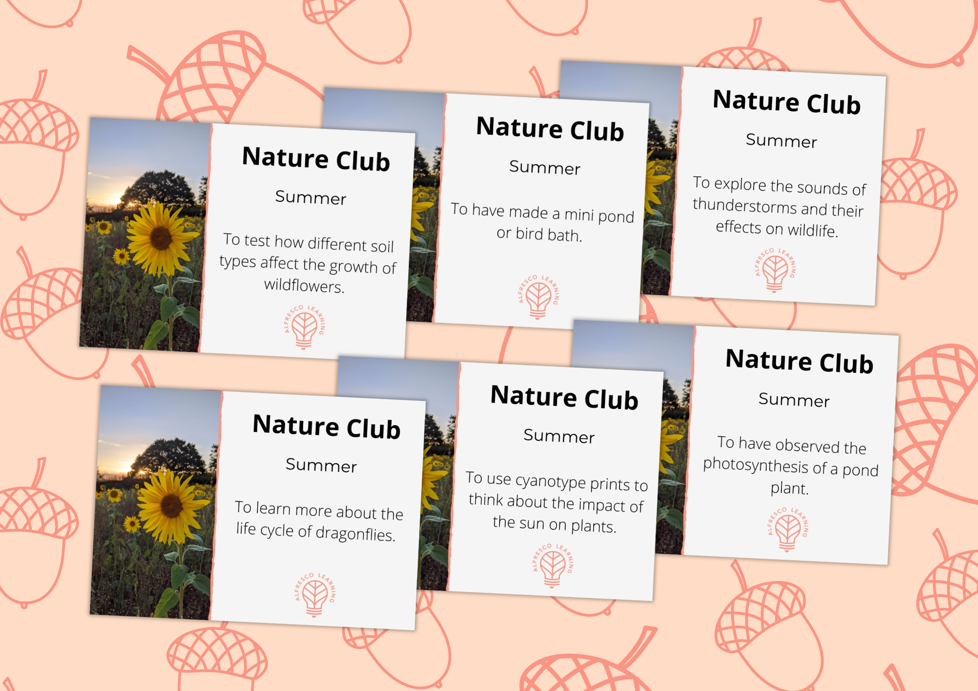 6 outdoor sessions looking at summer