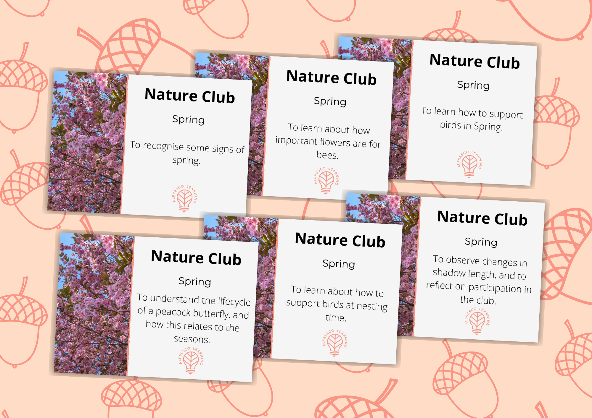 6 outdoor lessons for teaching about spring