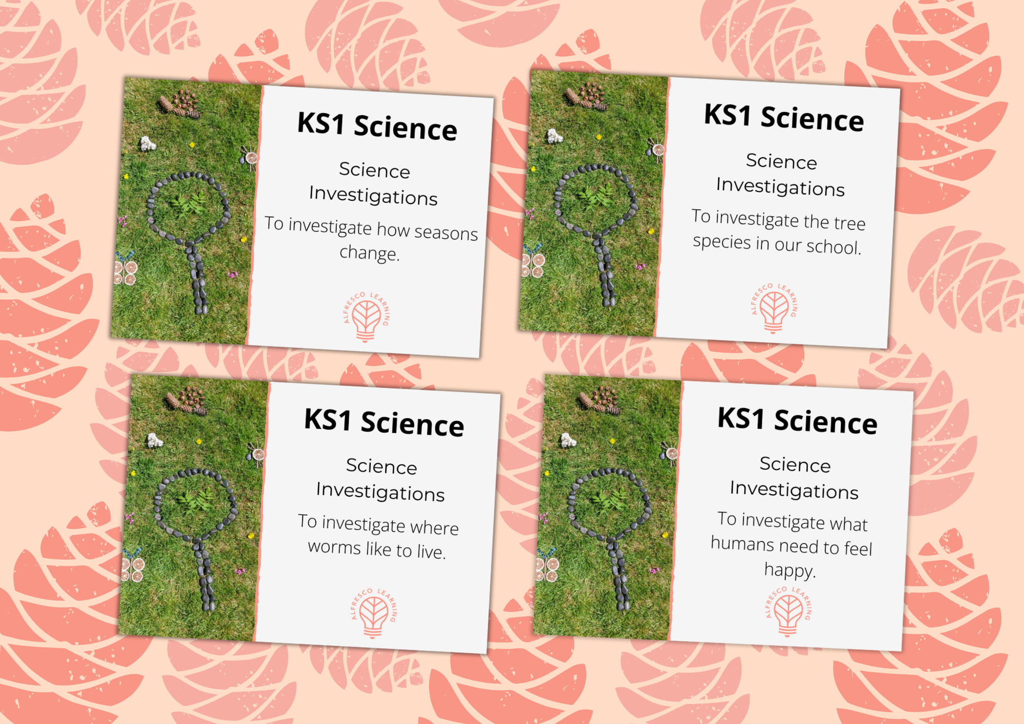 4 cover images for science investigations for KS1