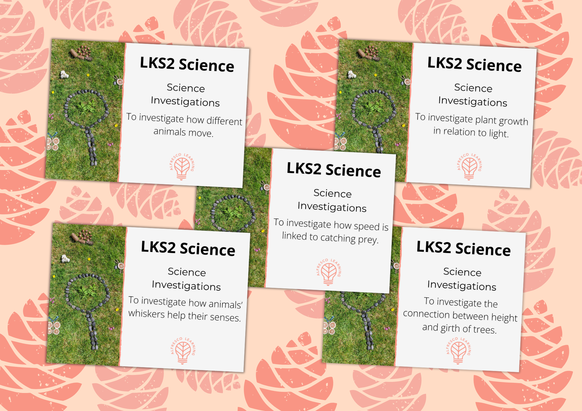 5 cover images for a unit of science investigations for Year 3 & 4