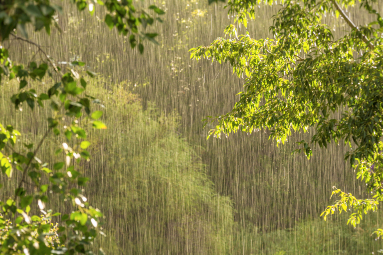 Why Is Raining 5 reasons to teach outside in the rain (and how to do it!) - Alfresco ...