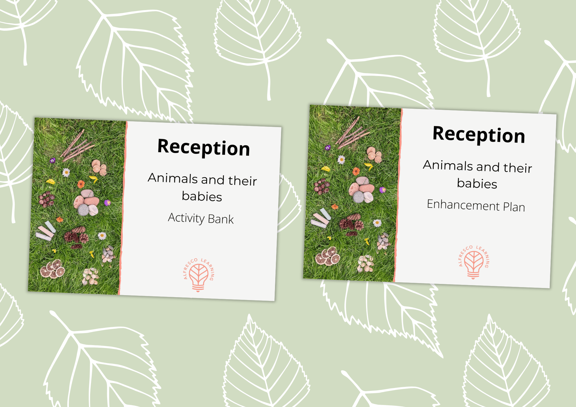 Cover image showing an activity bank and enhancement plan for a reception topic on baby animals