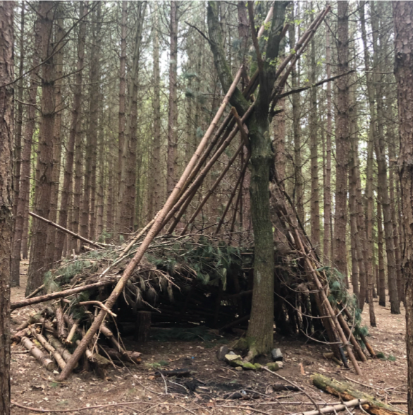 den made of branches and other large natural materials