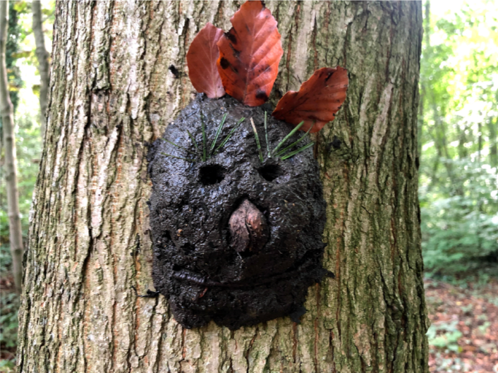 Mud face with leaves as hair, grass as eyelashes and a beech nut as a nose.