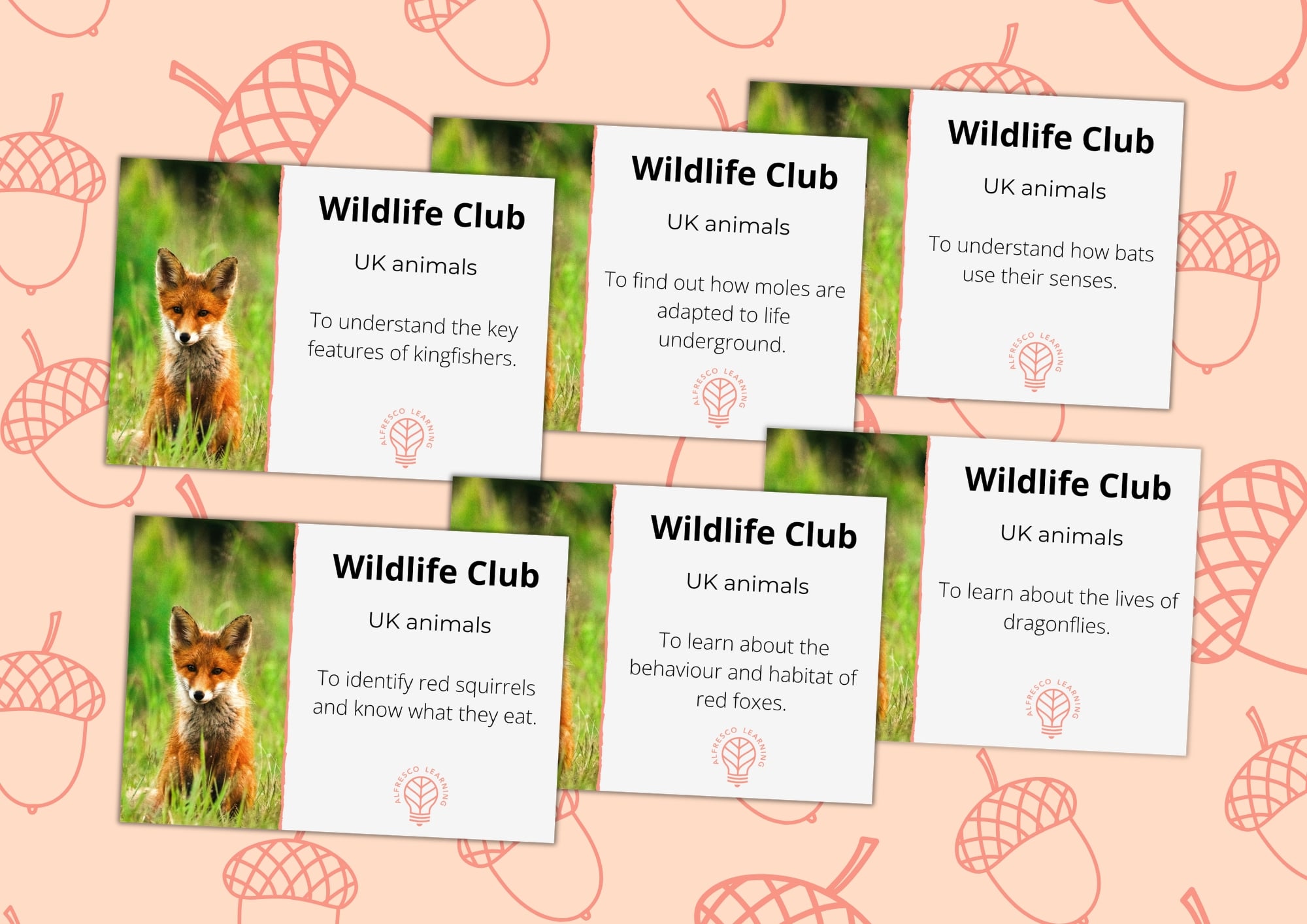 6 front covers of outdoor sessions based on UK wildlife
