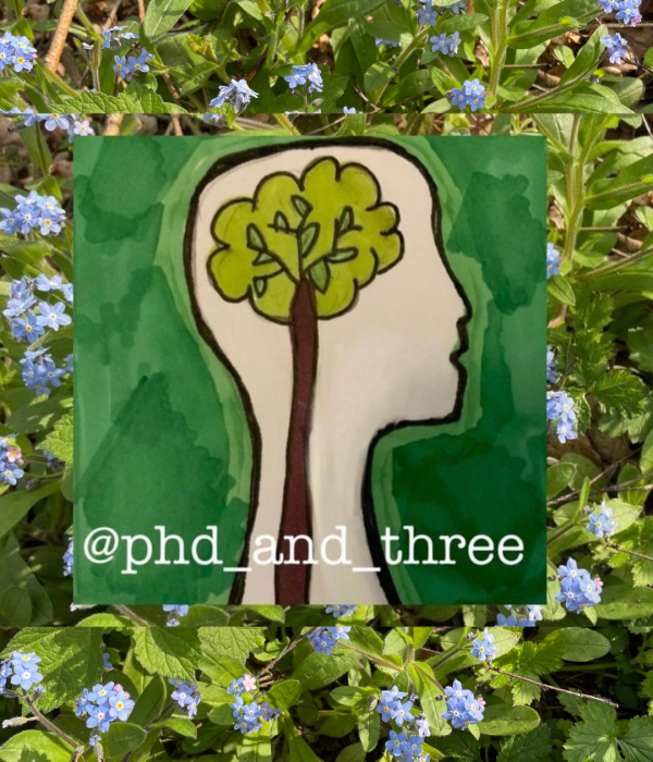 PHD & three's blog post image