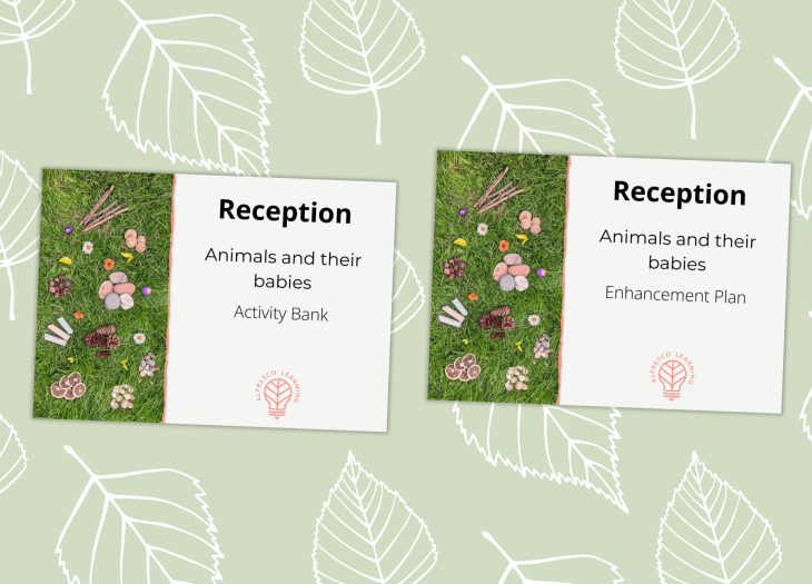 Cover image showing an activity bank and enhancement plan for a reception topic on baby animals