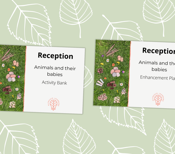 Cover image showing an activity bank and enhancement plan for a reception topic on baby animals