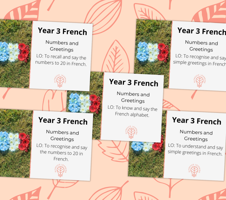 5 Outdoor lesson covers for teaching french to Year 3