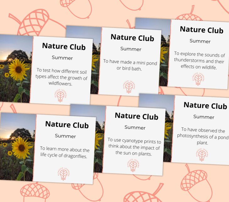 6 outdoor sessions looking at summer