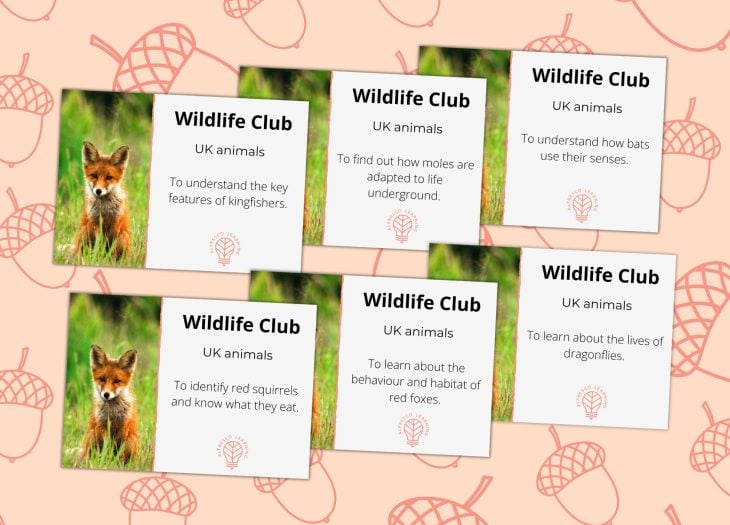 6 front covers of outdoor sessions based on UK wildlife