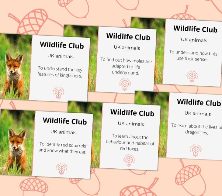 6 front covers of outdoor sessions based on UK wildlife
