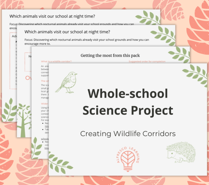 cover image showing pages from a whole-school wildlife corridors pack